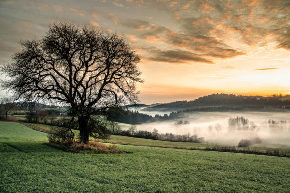 1037 Sonnenuntergang bei Prombach