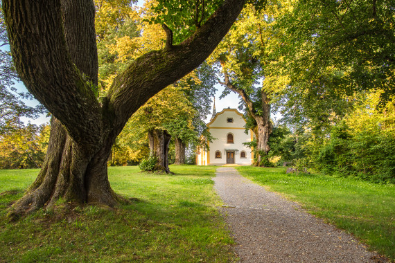 1027 Karolikapelle unter alten Linden