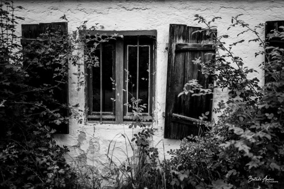 1265 Altreut