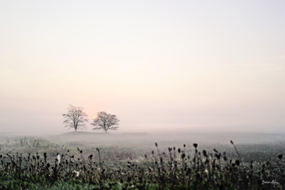 1328 Morgenruhe 3