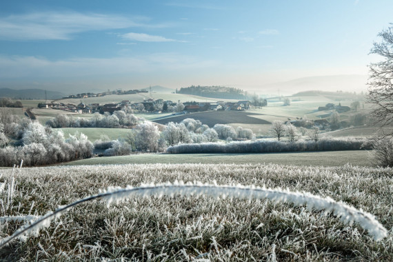 1019  Rauhreif - Blick auf Ulrichsreut