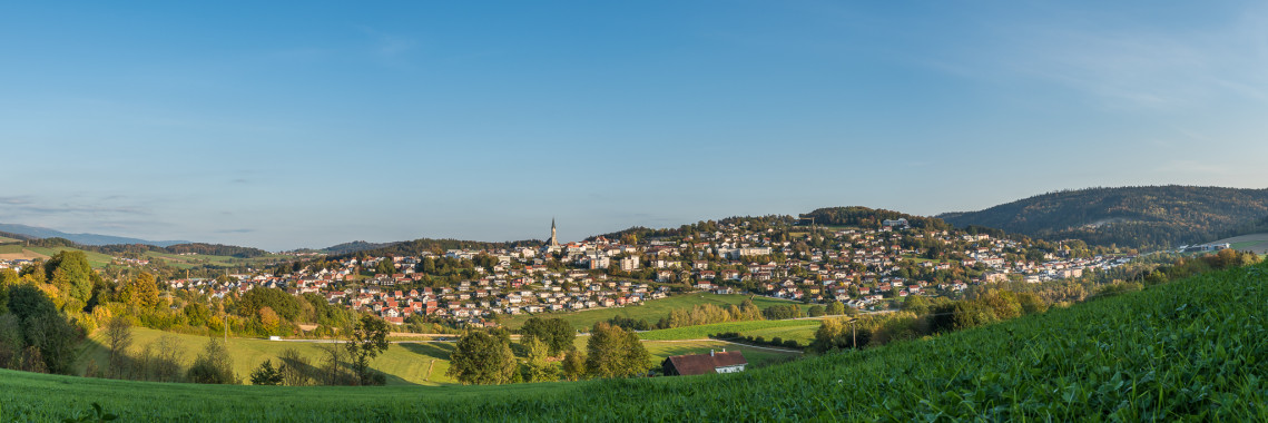 1043 Waldkirchen im Panorama 3x1