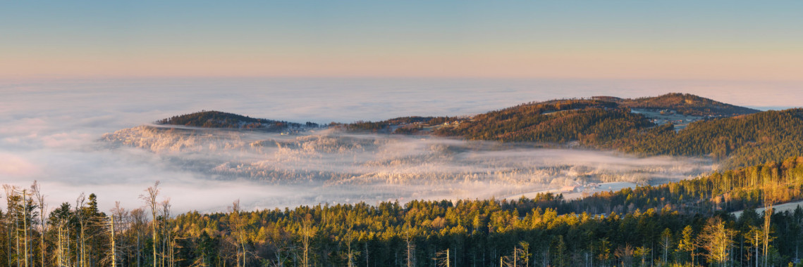 1049 Oberfrauenwald Blick nach Bauzing