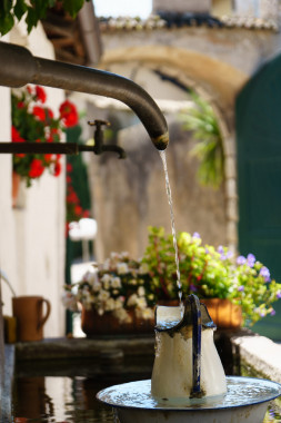 1061 Wasserspeier Sommerfrische