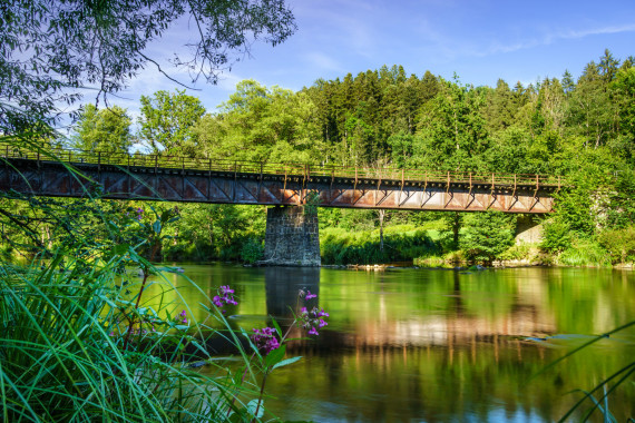 1032 Alte Eisenbahnbrücke über die Ilz bei Kalteneck