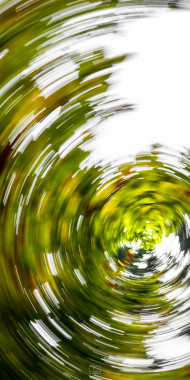 1041 Immer schneller