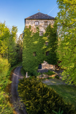 1131 Burg Kaltenstein