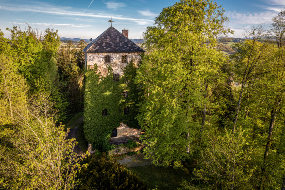 1132 Burg Kaltenstein