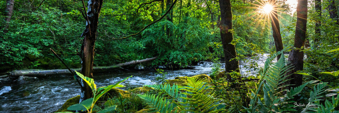1139 Wildwasserparadies Dießensteiner Leite im PANO 3x1