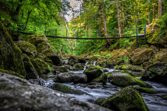 1186 Hängebrücke Buchberger Leite