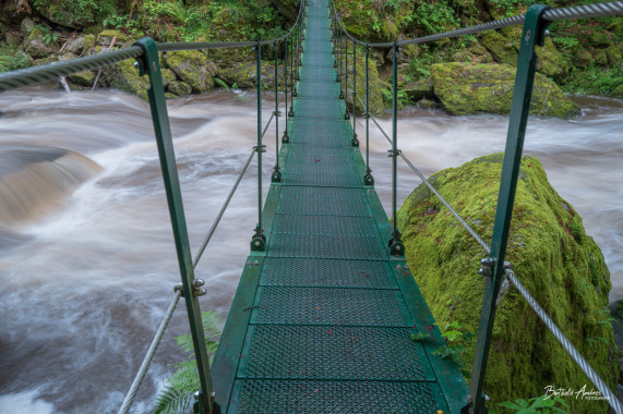 1262 Buchberger Leite Hängebrücke II