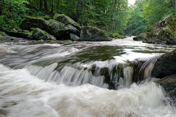 1299 Wildwasserleite