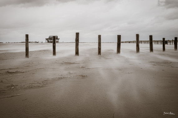 1336 Sandsturm Peter Ording