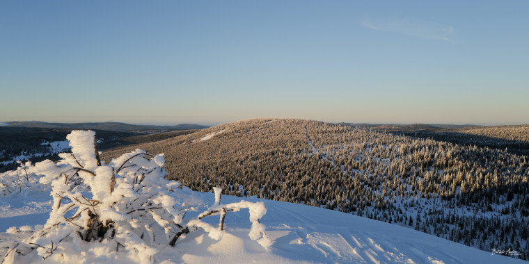 1366 Böhmerwaldblick Winter 24