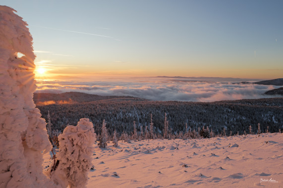 1369 Sunset Lusenwinter 24