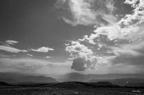 1312 Bergsommer Rittner Horn 3