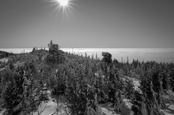 1363 Dreisesselblick Winter 24