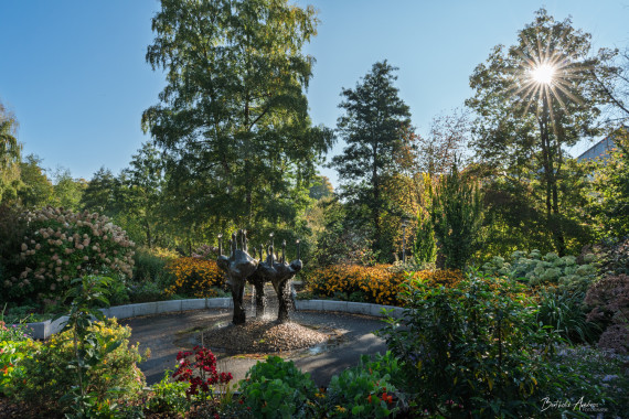 1405 Stadtpark Regen