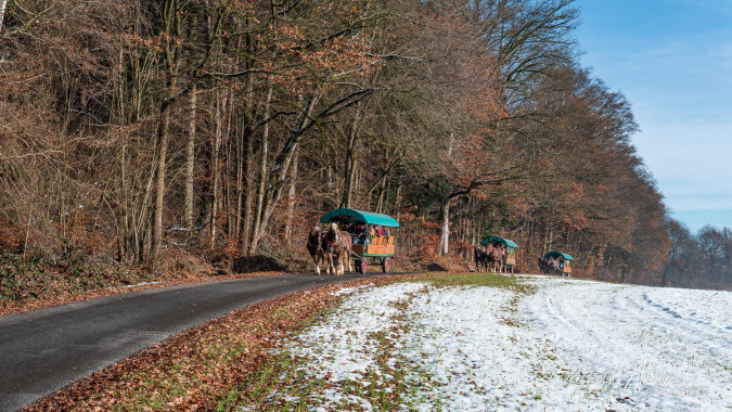 Kutschenfahrten am Seidlhof
